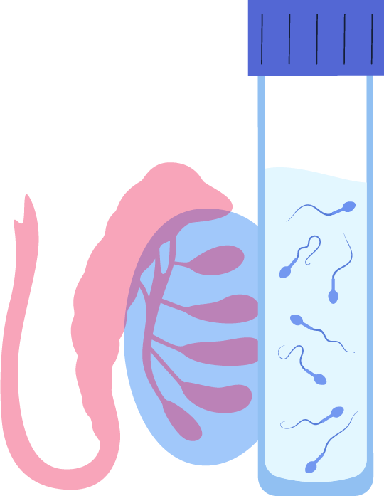 A test tube with a fetus undergoing fertility treatment through IVF.