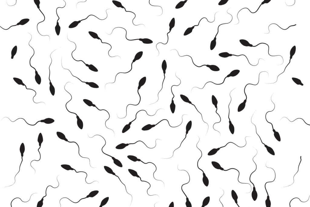 sperm